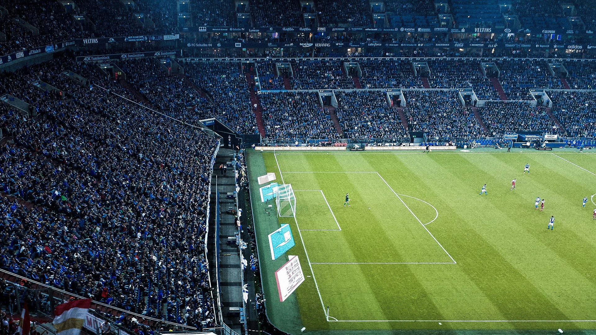 莎拉波娃关键节点挺进下一轮，加拿大队带队取胜！